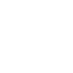 Wordpress W Logo